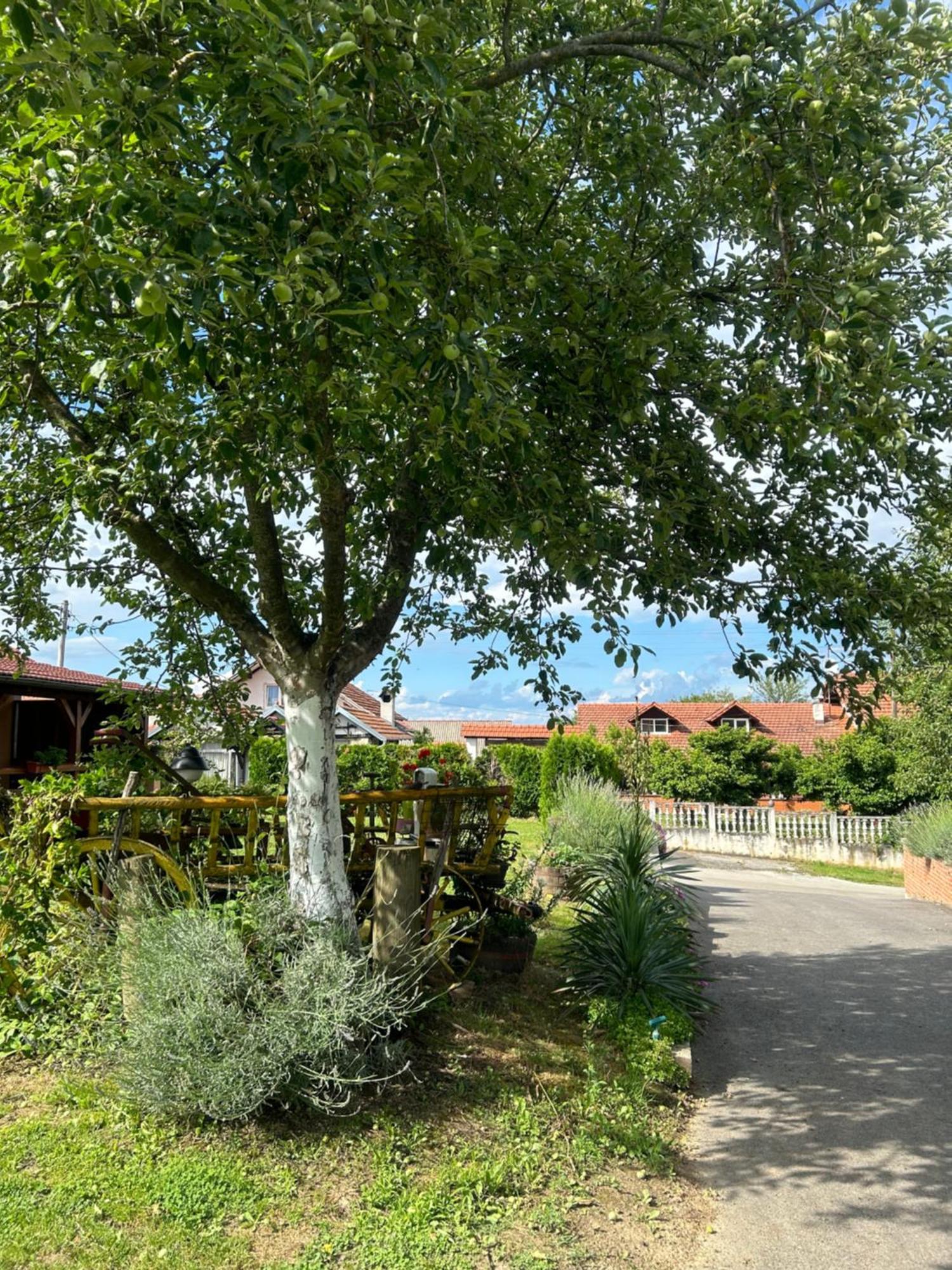 Camping Lukac Kutina Esterno foto